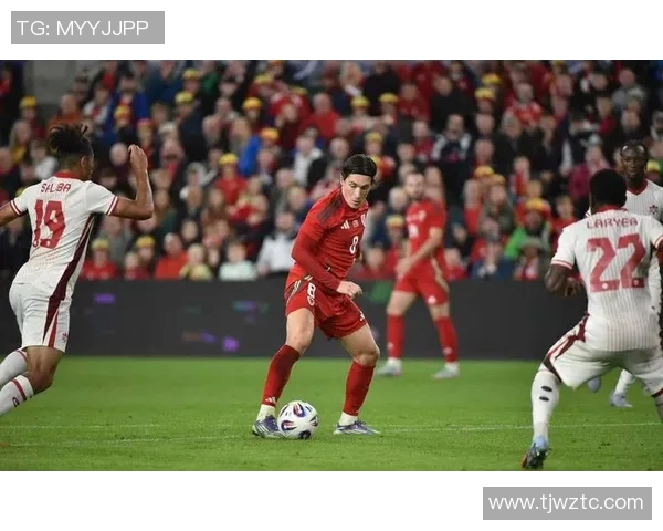 威尔士足球队球星最新排名分析及影响力评估